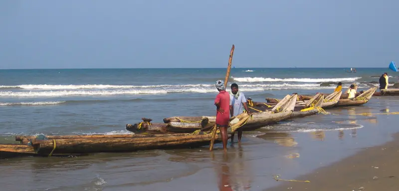South India: Kerala & Tamil Nadu gallery image